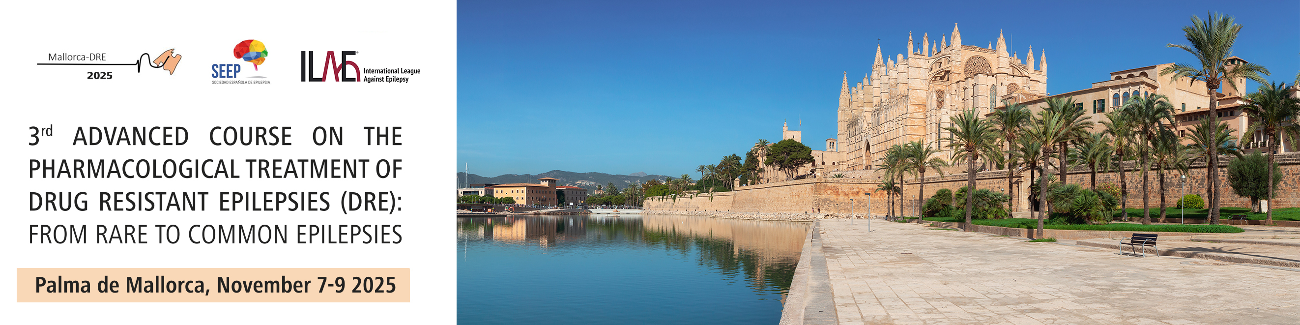 3rd ADVANCED COURSE ON THE PHARMACOLOGICAL TREATMENT OF DRUG RESISTANT EPILEPSIES (DRE): FROM RARE TO COMMON EPILEPSIES